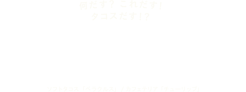 横浜・湘南エリアから本場のメキシコ料理をお届け！BERACRUZ移動販売「ベラクルス」/カフェテリア「チューリップ」 